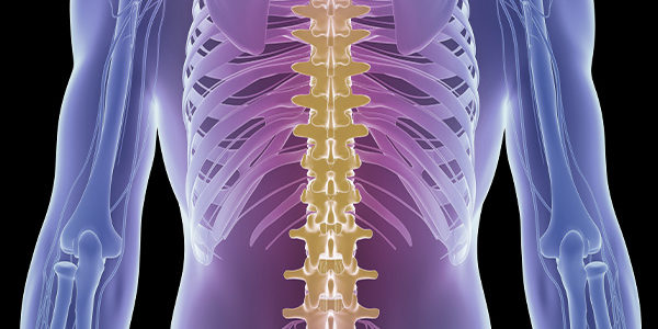 What Is A Chiropractic Adjustment And Its Benefits -