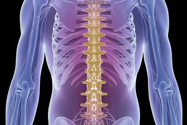 spine-image