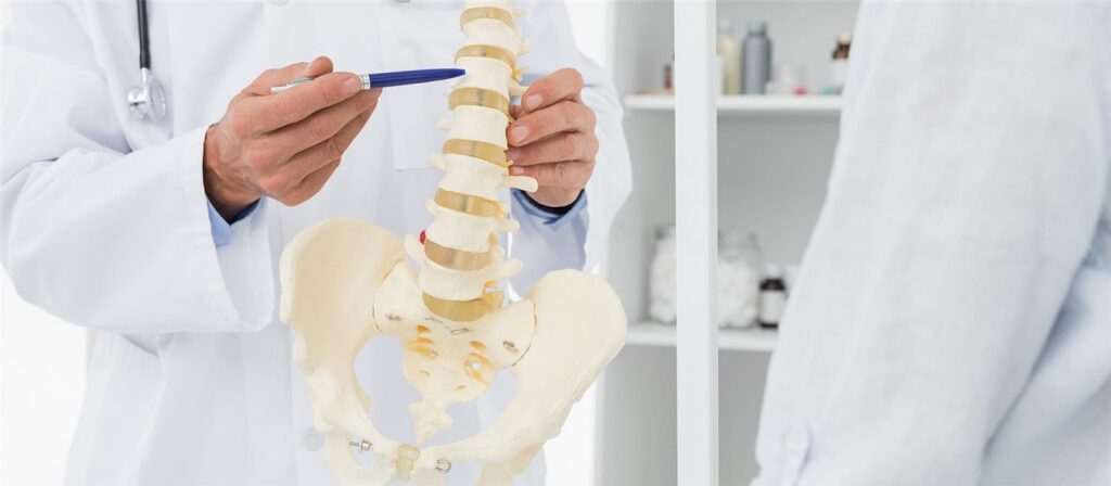 Chiropractor explaining an injury on a model